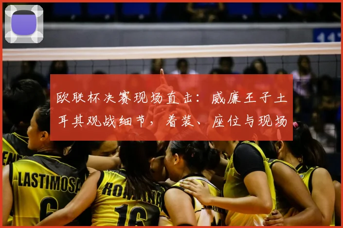 欧联杯决赛现场直击：威廉王子土耳其观战细节，着装、座位与现场反应全解析