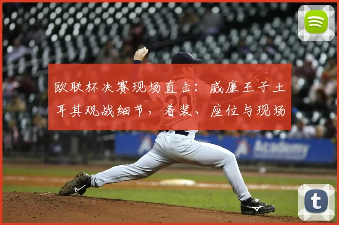 欧联杯决赛现场直击：威廉王子土耳其观战细节，着装、座位与现场反应全解析